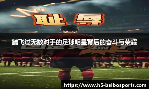 踹飞过无数对手的足球明星背后的奋斗与荣耀